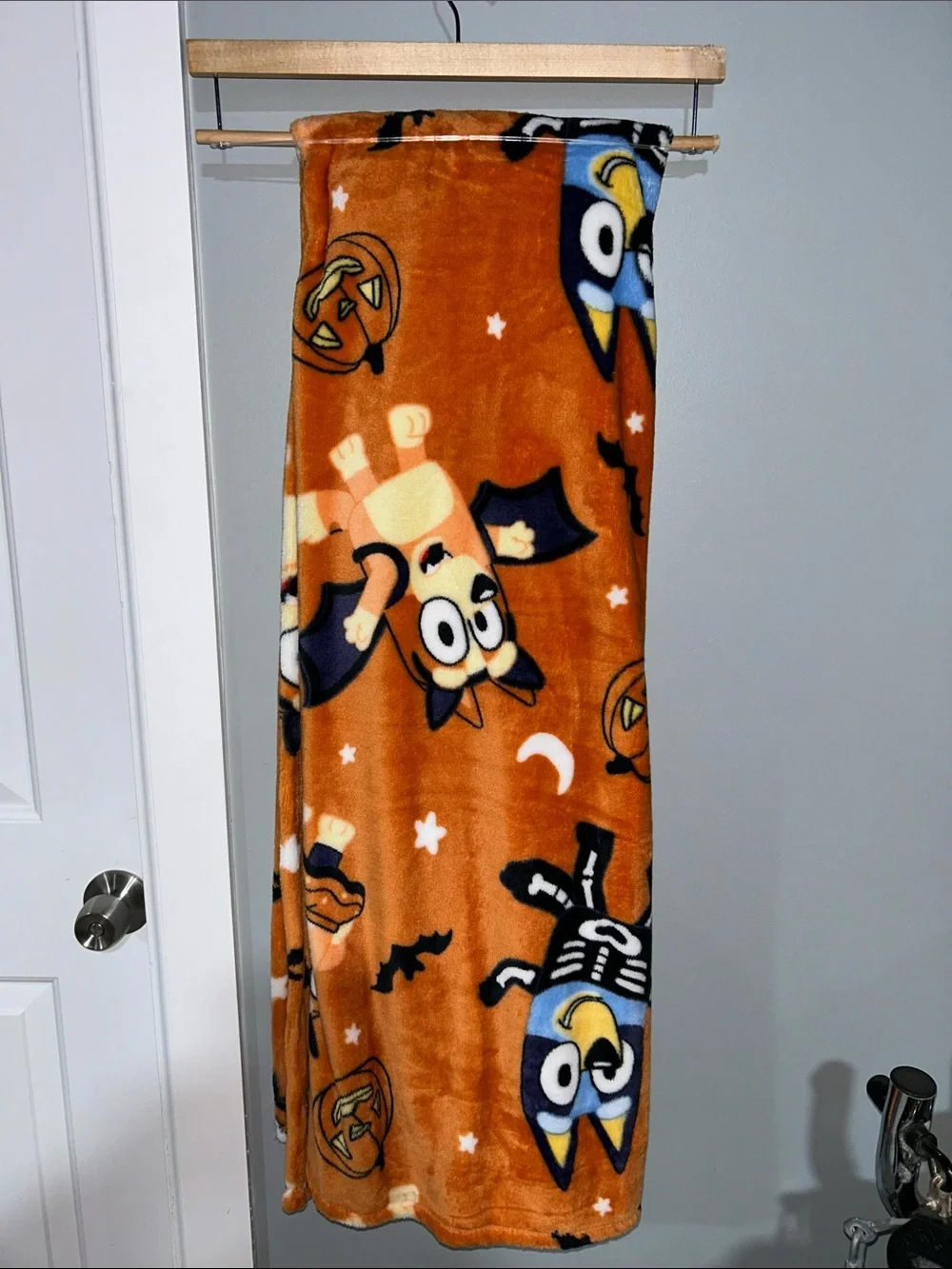 Bluey and Bingo Halloween Plush Throw Blanket
